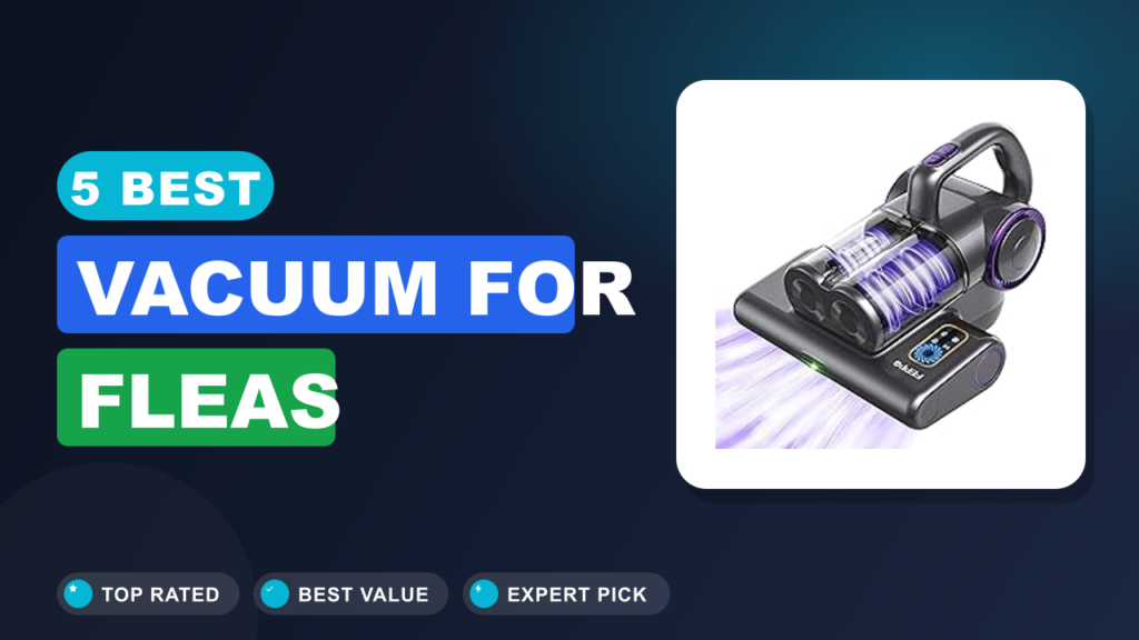 5 Best Vacuum for Fleas